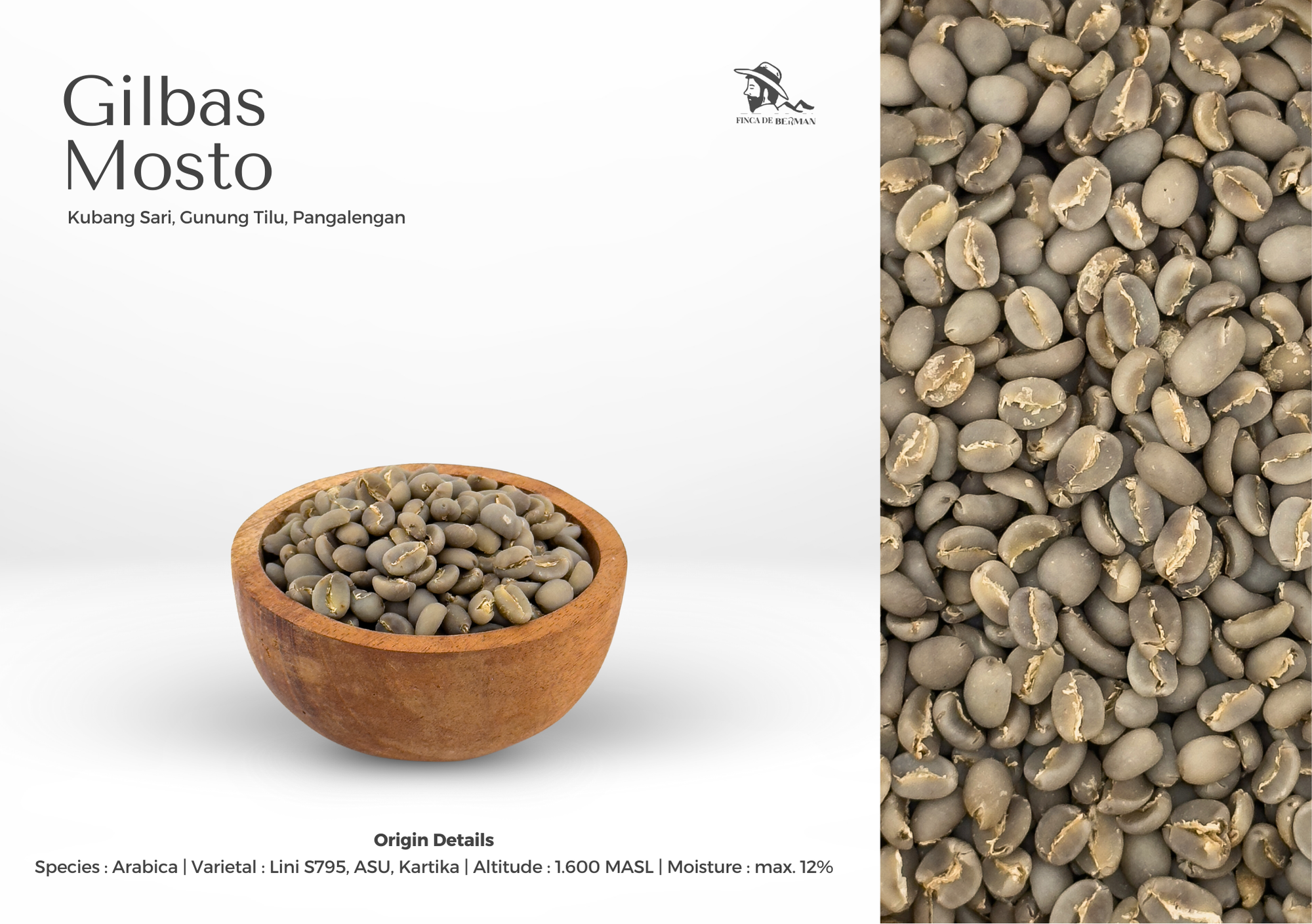 Gilbas Mosto