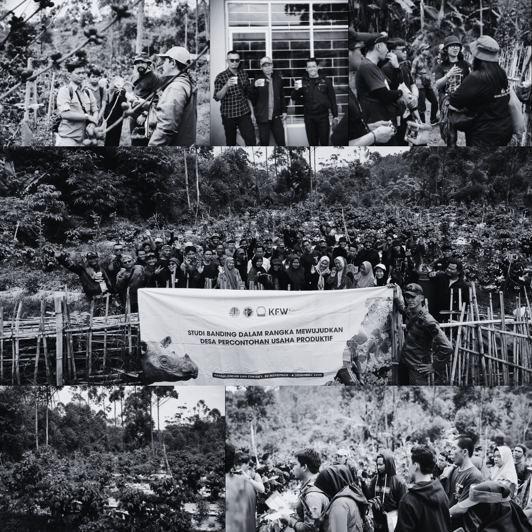 Studi Banding (Yayasan Badak Indonesia)